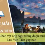 Phân tích nhân vật ông Ngư trong đoạn trích Lục Vân Tiên gặp nạn