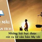 Phân tích những bài học được rút ra từ văn bản Mẹ tôi