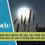 Phân tích những nét đặc sắc nghệ thuật trong hai câu thơ cuối bài thơ Vọng nguyệt