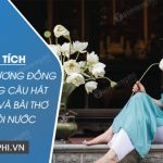 Phân tích những nét tương đồng giữa những câu hát than thân và bài thơ Bánh trôi nước