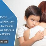 Phân tích những so sánh hay trong đoạn trích Trong lòng mẹ của Nguyên Hồng