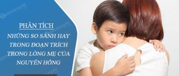 Phân tích những so sánh hay trong đoạn trích Trong lòng mẹ của Nguyên Hồng