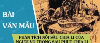 Phân tích nỗi sầu chia li của người vợ trong Sau phút chia li