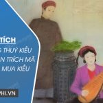 Phân tích tâm trạng Thuý Kiều trong đoạn trích Mã Giám Sinh mua Kiều