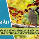 Phân tích từ ngữ, hình ảnh về biến chuyển của trời đất lúc giao mùa trong bài Sang thu