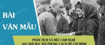 Phân tích và nêu cảm nghĩ sau khi học bài Phong cách Hồ Chí Minh