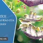 Phân tích văn bản Lao xao của Duy Khán