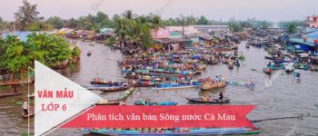 Phân tích văn bản Sông nước Cà Mau