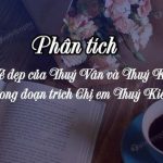 Phân tích vẻ đẹp của Thuý Vân và Thuý Kiều trong đoạn trích Chị em Thuý Kiều