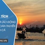 Phân tích vẻ đẹp người lao động trong bài Đoàn thuyền đánh cá