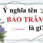 Phân tích ý nghĩa tên Bảo Trâm và phán tương lai chuẩn 99%