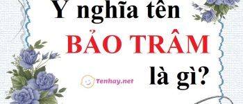 Phân tích ý nghĩa tên Bảo Trâm và phán tương lai chuẩn 99%