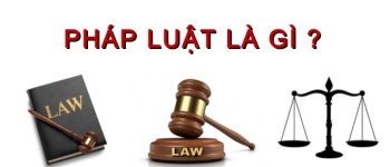 Pháp luật là gì? Đặc điểm của pháp luật? Ý nghĩa của pháp luật đối với nhà nước và pháp luật