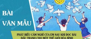 Phát biểu cảm nghĩ của em sau khi đọc bài Đấu tranh cho một thế giới hòa bình