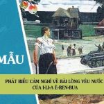 Phát biểu cảm nghĩ về bài Lòng yêu nước của I-li-a Ê-ren-bua