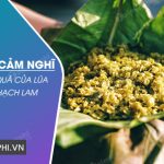 Phát biểu cảm nghĩ về bài Một thứ quà của lúa non