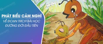 Phát biểu cảm nghĩ về đoạn trích Bài học đường đời đầu tiên