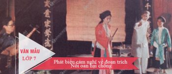 Phát biểu cảm nghĩ về đoạn trích Nỗi oan hại chồng