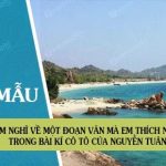 Phát biểu cảm nghĩ về một đoạn văn mà em thích nhất trong bài kí Cô Tô của Nguyễn Tuân