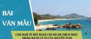 Phát biểu cảm nghĩ về một đoạn văn mà em thích nhất trong bài kí Cô Tô của Nguyễn Tuân