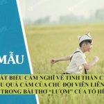 Phát biểu cảm nghĩ về tinh thần chiến đấu quả cảm của chú đội viên liên lạc trong bài thơ “Lượm” của Tố Hữu. Tại sao cuối bài thơ, tác giả lại nhắc lại hình ảnh của Lượm?