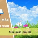 Phát biểu cảm nghĩ về văn bản Mùa xuân của tôi