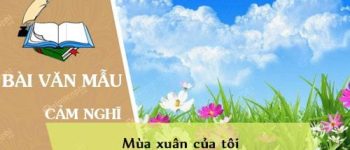 Phát biểu cảm nghĩ về văn bản Mùa xuân của tôi