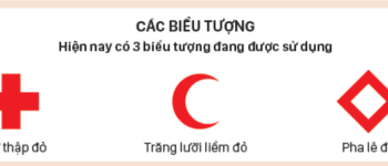 Phong trào Chữ thập đỏ và Trăng lưỡi liềm đỏ quốc tế gồm những thành phần nào?