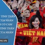 Qua bài văn Tinh thần yêu nước của nhân dân ta, em có cảm nhận gì về tinh thần yêu nước của nhân dân ta