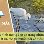 Qua hình tượng con cò trong những câu hát ru, tác giả muốn nói về điều gì?