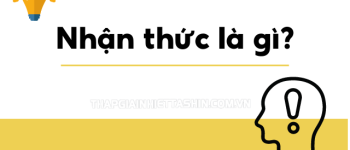 So sánh nhận thức cảm tính và nhận thức lý tính