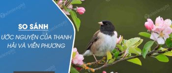 So sánh ước nguyện của Thanh Hải trong Mùa xuân nho nhỏ và Viễn Phương trong Viếng lăng Bác