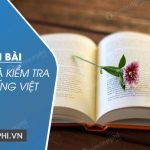 Soạn bài Ôn tập và kiểm tra phần tiếng Việt, lớp 8 tập 1