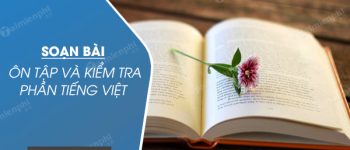 Soạn bài Ôn tập và kiểm tra phần tiếng Việt, lớp 8 tập 1