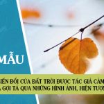 Sự biến đổi của đất trời được tác giả cảm nhận và gợi tả qua những hình ảnh, hiện tượng gì