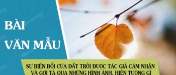 Sự biến đổi của đất trời được tác giả cảm nhận và gợi tả qua những hình ảnh, hiện tượng gì