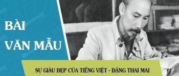 Sự giàu đẹp của Tiếng Việt – Đặng Thai Mai