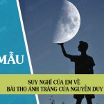 Suy nghĩ của em về bài thơ Ánh trăng của Nguyễn Duy