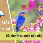 Suy nghĩ của em về bài thơ Mùa xuân nho nhỏ