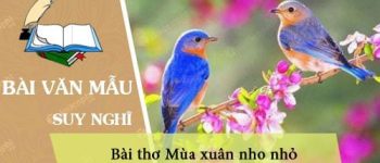 Suy nghĩ của em về bài thơ Mùa xuân nho nhỏ