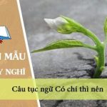 Suy nghĩ của em về câu tục ngữ Có chí thì nên