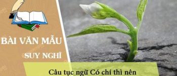 Suy nghĩ của em về câu tục ngữ Có chí thì nên