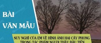 Suy nghĩ của em về hình ảnh hai cây phong trong tác phẩm Người thầy đầu tiên của Ai-ma-tốp