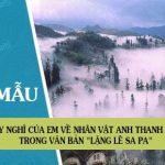 Suy nghĩ của em về nhân vật anh thanh niên trong văn bản “Lặng lẽ Sa pa” của Nguyễn Thành Long