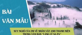 Suy nghĩ của em về nhân vật anh thanh niên trong văn bản “Lặng lẽ Sa pa” của Nguyễn Thành Long