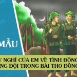 Suy nghĩ của em về tình đồng chí đồng đội trong bài thơ Đồng chí