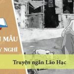 Suy nghĩ của em về truyện ngắn Lão Hạc