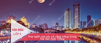 Suy nghĩ của em về vầng trăng trong bài thơ Ánh Trăng của Nguyễn Duy