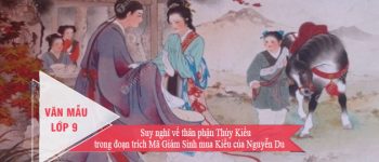 Suy nghĩ về thân phận Thúy Kiều trong đoạn trích Mã Giám Sinh mua Kiều của Nguyễn Du
