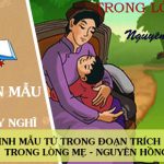 Suy nghĩ về tình mẫu tử trong đoạn trích Trong lòng mẹ của Nguyên Hồng.